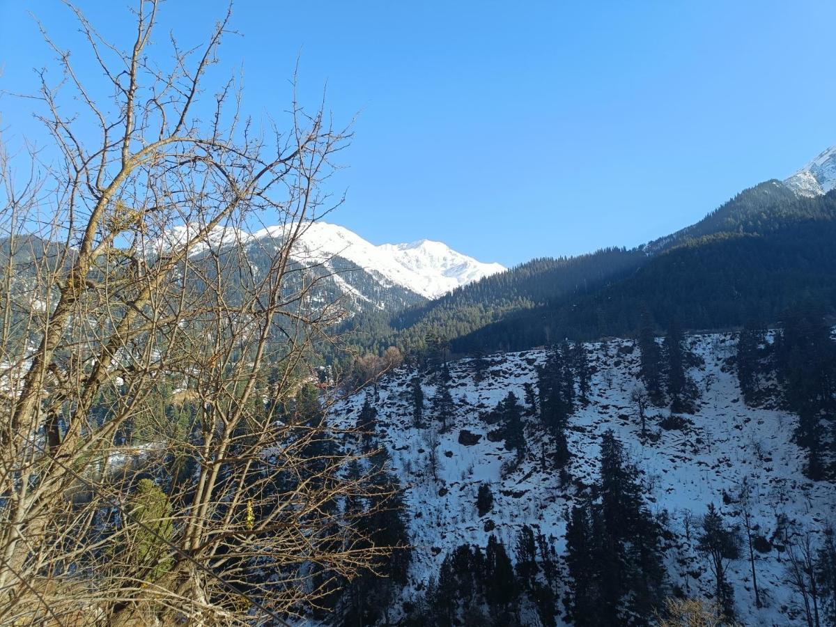 Snow Oak Guest House Kasol Exteriér fotografie